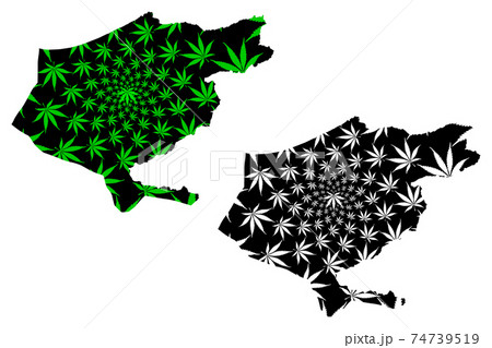 El Taref Province (Provinces of Algeria, Peoples Democratic Republic of Algeria) map is designed cannabis leaf green and black, El Taref map made of marijuana (marihuana,THC) foliage.... 74739519