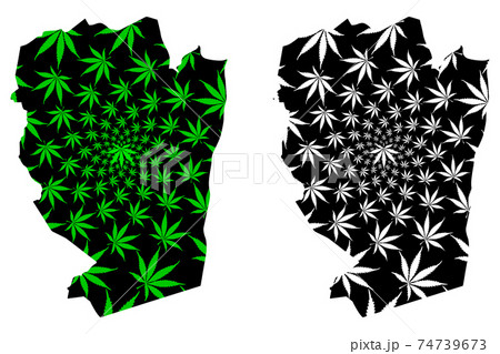 Naama Province (Provinces of Algeria, Peoples Democratic Republic of Algeria) map is designed cannabis leaf green and black, Naama map made of marijuana (marihuana,THC) foliage.. 74739673