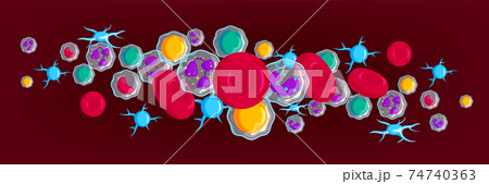 Blood Cells Header Banner 74740363