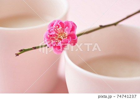 甘酒と桃の花 甘酒と桃の花 74741237