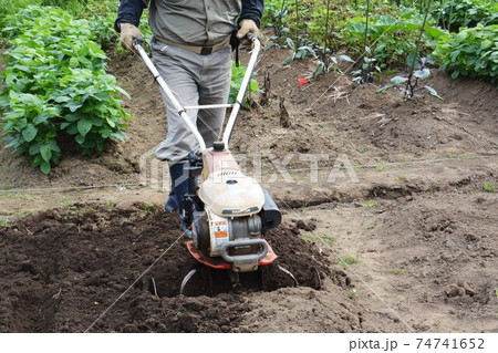 家庭菜園・畑作業あれこれ  74741652