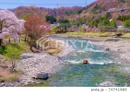 春の利根川川下り 春の利根川川下り 74741980