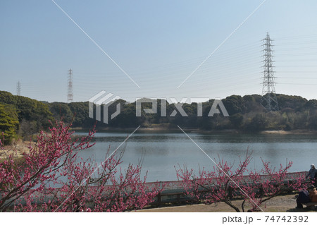 佐布里池 74742392