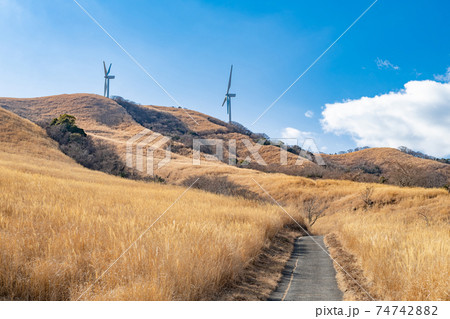 静岡県賀茂郡東伊豆町 冬の細野高原の風景 静岡県賀茂郡東伊豆町 冬の細野高原の風景 74742882