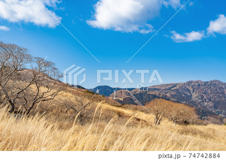 静岡県賀茂郡東伊豆町　冬の細野高原の風景 74742884