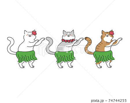 フラダンスを踊る3匹の猫のイラスト素材