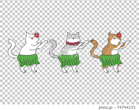フラダンスを踊る3匹の猫 74744255