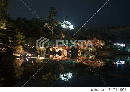 彦根城　玄宮園ライトアップ 74744861