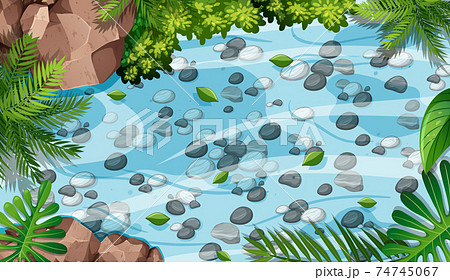 Aerial forest scene with stones in the pond 74745067