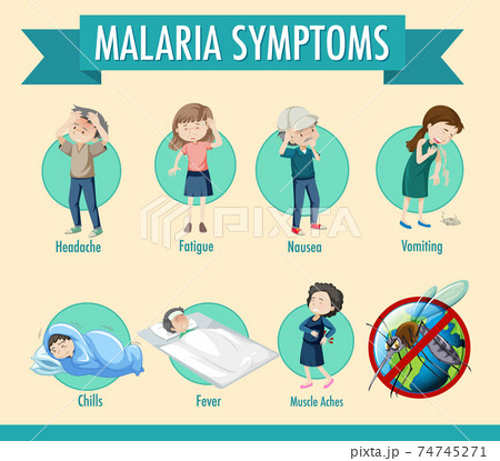 Malaria transmission cycle and symptom information infographic 74745271