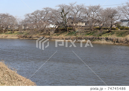 日本の埼玉県元荒川が冬の強風で波立つ景色 日本の埼玉県元荒川が冬の強風で波立つ景色 74745486