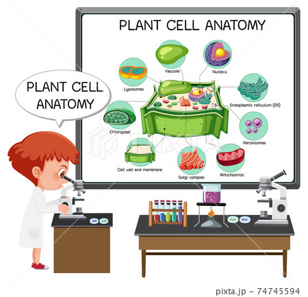 cell biology class cartoon