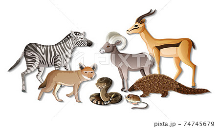 Group of wild African animals on white background Group of wild African animals on white background 74745679