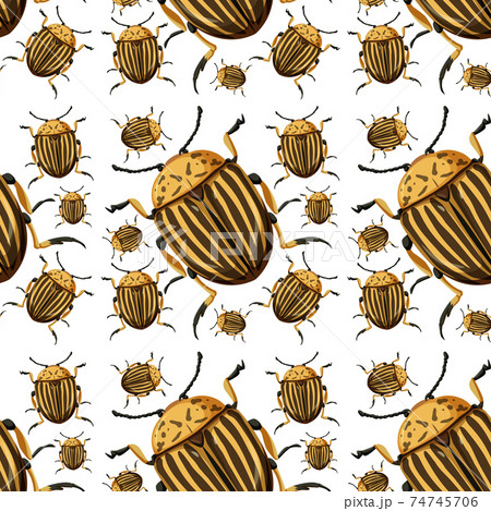 Beetle insect seamless background Beetle insect seamless background 74745706