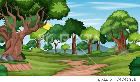 Trail in the forest landscape scene 74745829