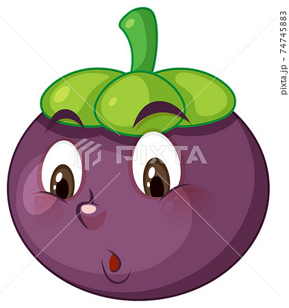 Mangosteen cartoon character with facial expression Mangosteen cartoon character with facial expression 74745883