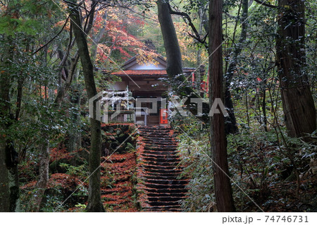 岩屋山薬師堂(岩屋堂公園 愛知県 瀬戸市 岩屋町) 岩屋山薬師堂(岩屋堂公園 愛知県 瀬戸市 岩屋町) 74746731