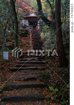 岩屋山薬師堂（岩屋堂公園　愛知県 瀬戸市 岩屋町） 74746825