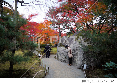 きれいな紅葉の宝厳院 きれいな紅葉の宝厳院 74747132