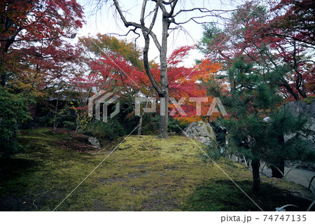 きれいな紅葉の宝厳院 きれいな紅葉の宝厳院 74747135