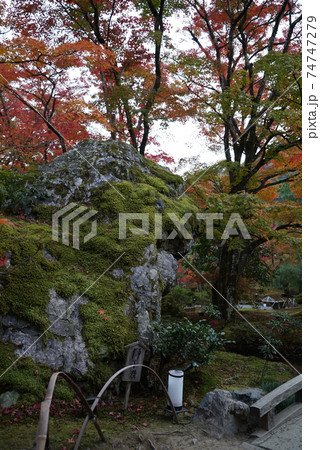 きれいな紅葉の宝厳院 きれいな紅葉の宝厳院 74747279