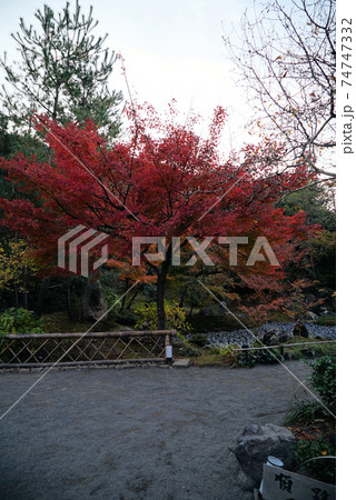 きれいな紅葉の宝厳院 74747332