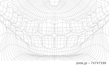 Wire-frame 3D teeth close up. Inside mouth 74747396