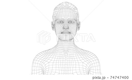 Wireframe portrait of a young beautiful girl 74747400