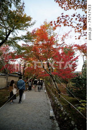 きれいな紅葉の宝厳院 74747433