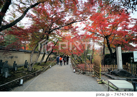 きれいな紅葉の宝厳院 74747436