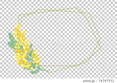 ミモザの花　フレーム 74747552