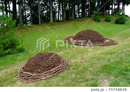 不思議な話ですが世界で一番大きなピラミッドがなんと日本の信州信濃の山奥に有ります。(皆神神社) 不思議な話ですが世界で一番大きなピラミッドがなんと日本の信州信濃の山奥に有ります。(皆神神社) 74748646