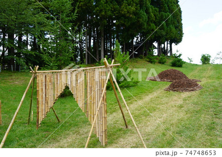 UFO不思議な話ですが世界で一番大きなピラミッドがなんと日本の信州信濃の山奥に有ります。（皆神神社） 74748653