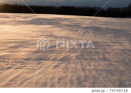 地吹雪の雪原 74749718