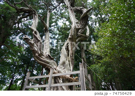 不思議な話ですが世界で一番大きなピラミッドがなんと日本の信州信濃の山奥に有ります。（皆神神社） 74750429