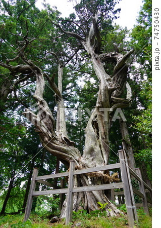 不思議な話ですが世界で一番大きなピラミッドがなんと日本の信州信濃の山奥に有ります。(皆神神社) 不思議な話ですが世界で一番大きなピラミッドがなんと日本の信州信濃の山奥に有ります。(皆神神社) 74750430