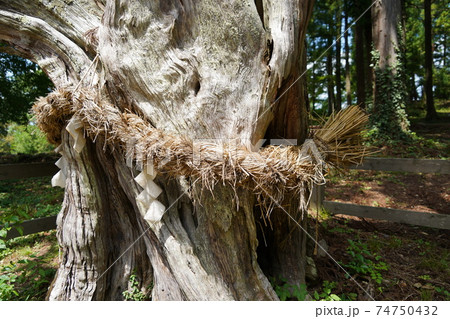 不思議な話ですが世界で一番大きなピラミッドがなんと日本の信州信濃の山奥に有ります。（皆神神社） 74750432