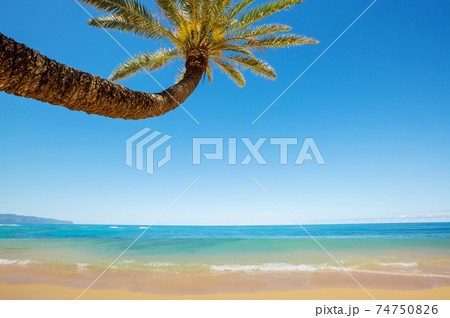 Hawaiian beach Hawaiian beach 74750826