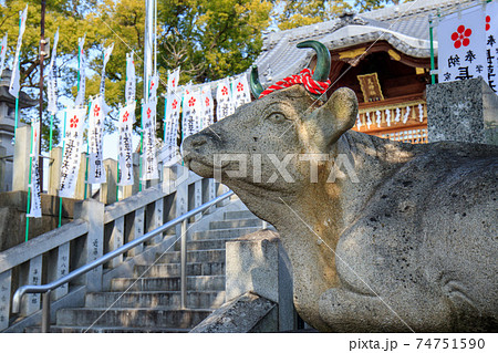 大府市　長草天神社のなで牛 74751590