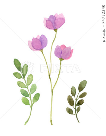 シンプルな花の水彩イラストのイラスト素材