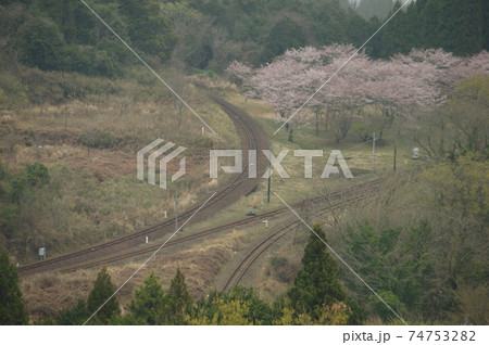 肥薩線　春の大畑駅スイッチバック　3 74753282