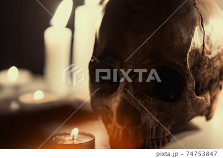 Human skull against dark background in candle light closeup Human skull against dark background in candle light closeup 74753847