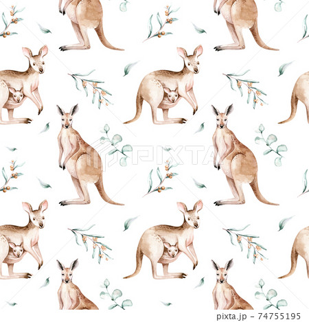 kangaroo 1080P 2k 4k Full HD Wallpapers Backgrounds Free Download   Wallpaper Crafter