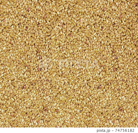 texture of roasted golden flax seed or linseed texture of roasted golden flax seed or linseed 74756182