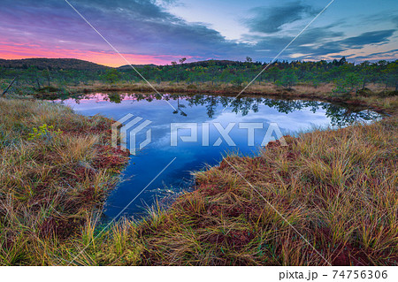 Breathtaking Tinovul Mohos with small lake at sunrise, Transylvania, Romania  74756306
