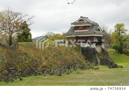 熊本城 戌亥櫓の桜 3 熊本城 戌亥櫓の桜 3 74756934