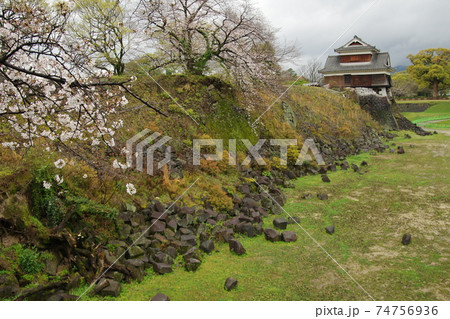 熊本城 戌亥櫓の桜 5 熊本城 戌亥櫓の桜 5 74756936