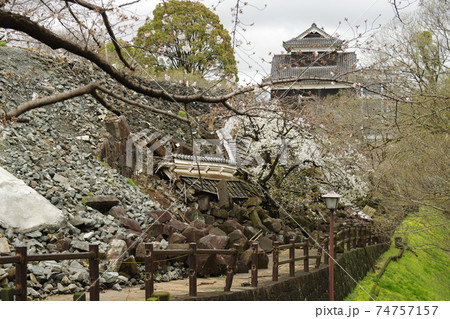 熊本城 未申櫓の桜 1 熊本城 未申櫓の桜 1 74757157