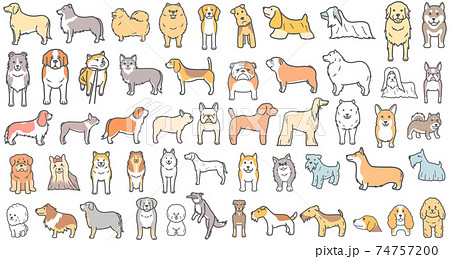 テリアやコリーなどの犬のイラストまとめ 74757200