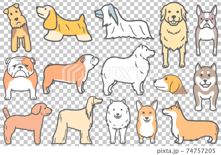 ゴールデンレトリバーなどの犬のイラスト ゴールデンレトリバーなどの犬のイラスト 74757205